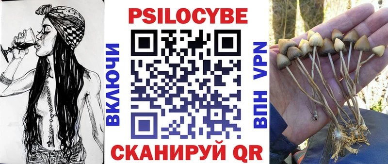 Галлюциногенные грибы Psilocybine cubensis  Лесосибирск 